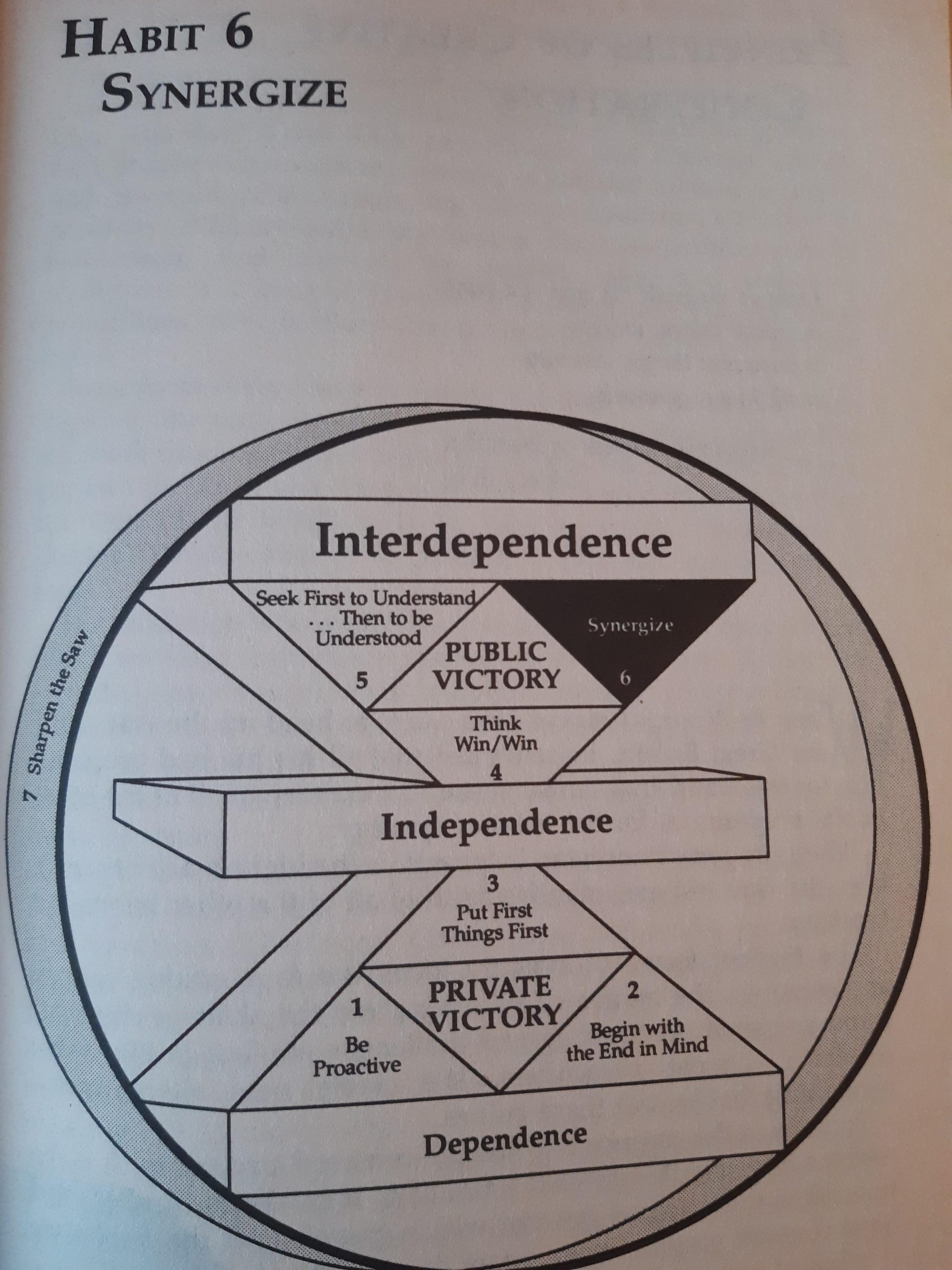 Thriving in Times of Change: The Magic of Synergy